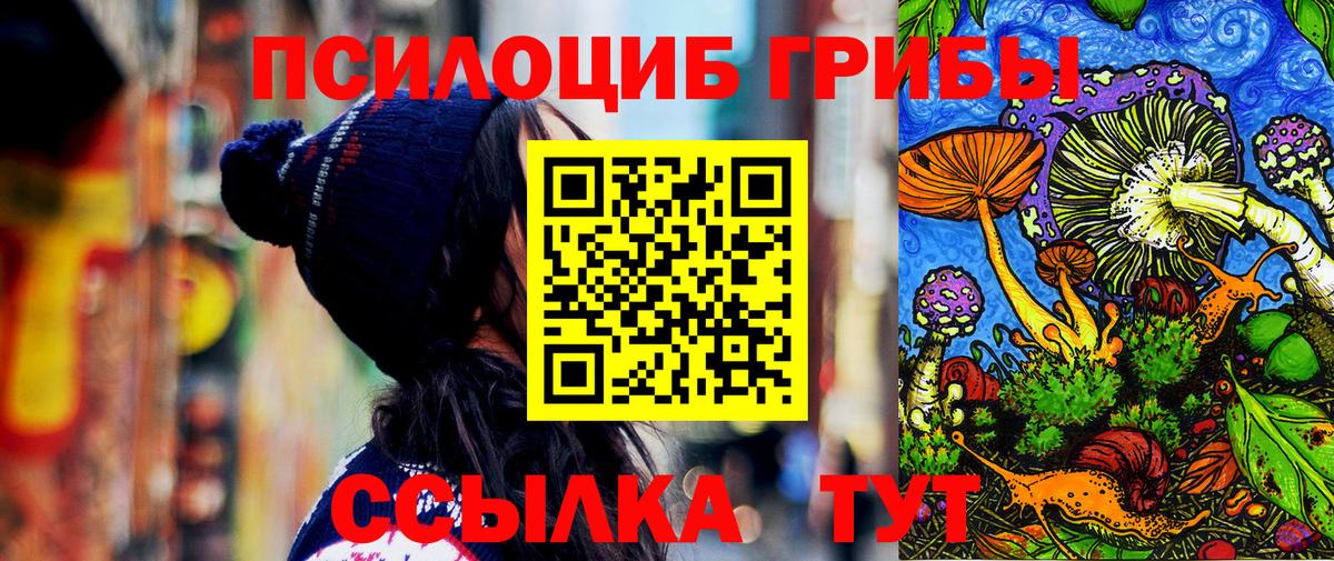 Псилоцибиновые грибы ЛСД  Вход с VPN  купить наркоту  Сосновоборск 